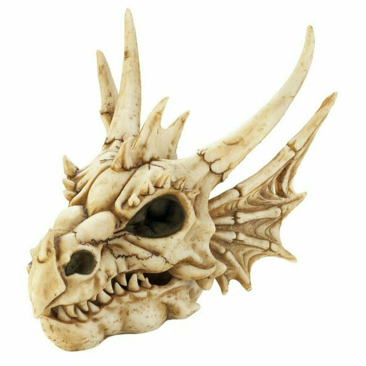 Dragon Skull TRINKET BOX Figurine